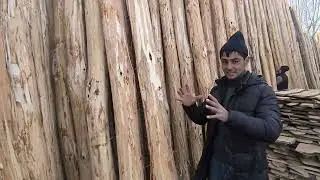 Terak narxlari 2026 01 06 