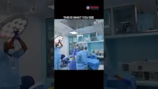 Scared of the IVF Lab? Let&rsquo;s Show You the Reality | Mamata Fertility Hospital: Hyderabad