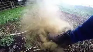 Stomping on Puffball Mushrooms