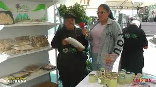 Ana Cuellar en VOCES DE BARRIO | Historias, agricultura y emprendimiento