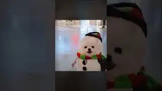 Fluffy snowman