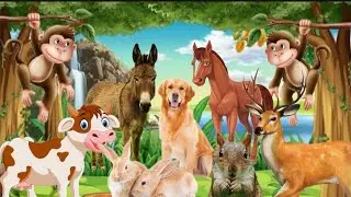 Learn Animal Names And Their Funny Sounds, Cow, Deer, Dogs, Donkey, Monkey, Horse