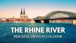 Peaceful Views of the Rhine River in Cologne | Cathedral, Bridges & Skyline