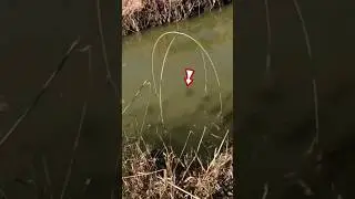 Tak Disangka Tangkul Ikan Kecil Bisa Menangkap Ikan Sebanyak Ini‼️