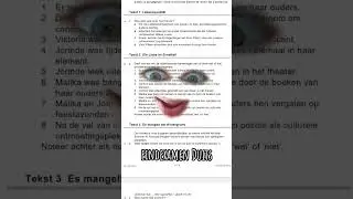 Eindexamen Duits 🫶🏼🫠 examentraining op www.mevrouwduits.nl #examentips