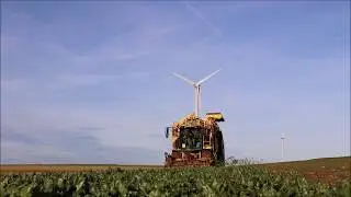 Arrachage des betteraves avec l'ETA BALLIGAND et l'ETA GERNEZ !!!