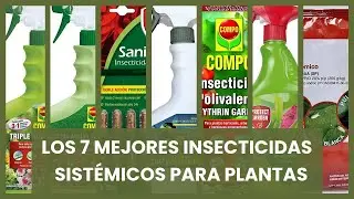 Insecticida sistemico para plantas: Los 7 mejores insecticidas sist&eacute;micos para plantas