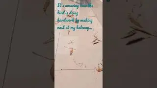 Mere ghar ke samne... | As a human take a lesson...