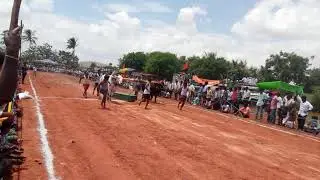 Rayalaseema yedla pandem
