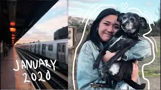 nyc trip & getting rejected from jobs! 🤪 january vlog 2020