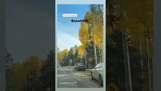 Arizona snowbowl #Arizona flagstaff #snowbowl #driving #dream #destination #travel #naturelovers