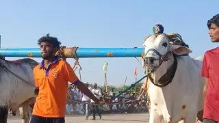 🦁వావిలాల సీనియర్స్ విభాగం 11వ జత💥PPR BULLS మేడిమాకులపల్లి