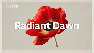 Radiant Dawn | Chill House for a Positive Morning Vibe