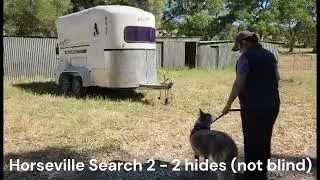 Benji Novelty search challenge Day 1 - Horseville