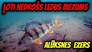 Cope Alūksnes ezerā. 🐠🐠🐠 Ļoti nedrošs ledus.