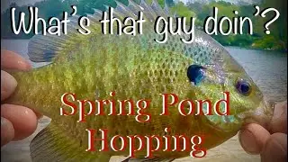 Fishing; Spring Pond Hopping. Plymouth, Ma.