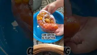 Make Cumi Bunting Ala Mamah Nada!!️🦑 #mukbangseafoodpedas #cumibunting #telurotek #telurmayong