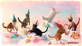बिल्ली डांस | Cutest Cat videos funny dance🤣💃Dance Videos for cats #funny #dancingcat #cat #cute