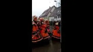 Donzdorf'r Noda-Biag'r beim Einmarsch zum Narrenbaumstellen 2015