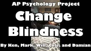 Change Blindness: AP Psychology Project
