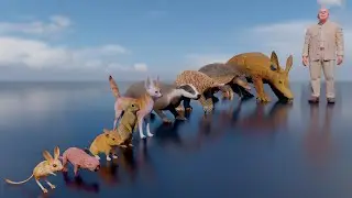 Prepare to be amazed: 3D size comparison of underground living Animals