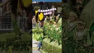 Carnaval 2023 SP Desfile Sambadromo do Anhembi #carnaval #carnaval2023