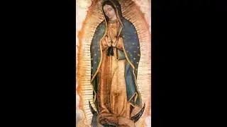 8 am Friday Mass, December 12, 2025, Feast of Our Lady of Guadalupe