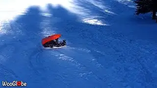 Snow Sledding Fail || WooGlobe Funnies