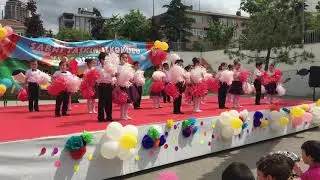 TÜRKİYE DANSI