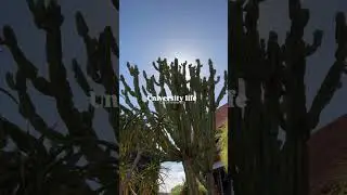 Uni life at Curtin