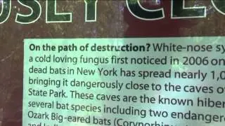 Devil's Den State Park