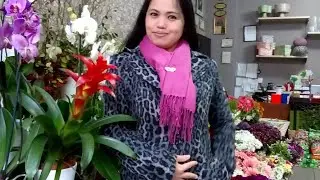 JANUARY 28 COLD MORNİNG WEDNESDAY