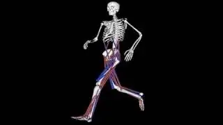 New Research Center Tackles Movement Disorders