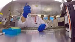 Stem Cell Summer Camp