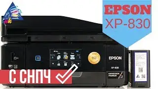 Epson XP-830 с СНПЧ. Без чипа и сброса