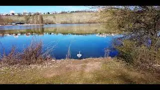 Max Eyth See Stuttgart. DJI Pocket 2. imovie cinemetic. 4k. relax Entspannung