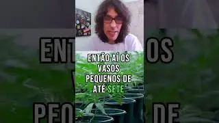 QUAL O TAMANHO CERTO DE VASO? #Jardinagem #Cultivo #CultivoIndoor