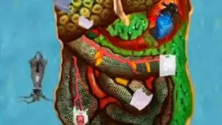 Greenfins Thailand Organization Video Contest