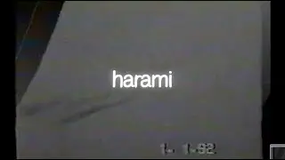 Harami (Lyric Video) - J Trix X Subspace
