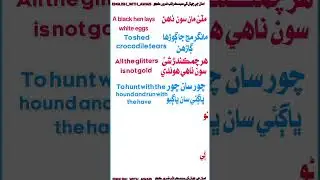 Sindhi to English Idioms #englishidioms #vocabulary #shorts #shortfeed #1millionviews views #Sindhi