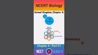 Basis of Classification | Animal Kingdom Class 11 NCERT Biology | What To Study #shorts #neet