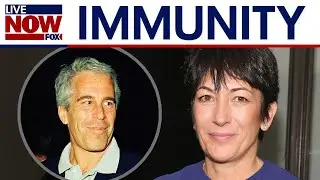 Ghislaine Maxwell offered limited immunity during DOJ meetings: reports