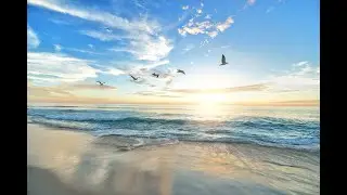 Love&Beautiful relaxing Harsham piano music & video