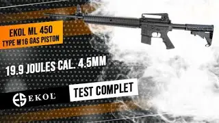 ML 450 type M16 : carabine à plombs tactical EKOL gas piston