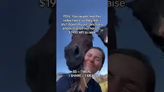 Donate link in Bio To help our sanctuary get something to feed horses #horse #reels #trending #sad