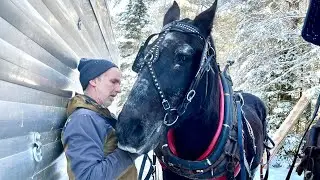 Грустные новости&hellip; Посвящение Баку № 437