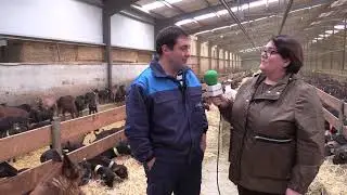 Entrevista a Gonzalo Agüera, socio de la granja caprina Agüera de Corniella (Tineo)
