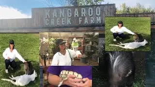kangaroo Creek Farm kelowna british columbia tour/@lynettecartagena54