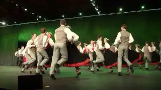 Deju lielkoncertā  “Soļi rakstos”  2026. gada 17. janvārī Ķīpsalas hallē