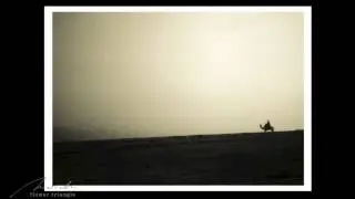 Flower Triangle - season (november mix)